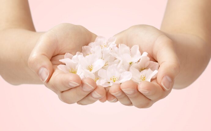 手の平にたくさんの桜のはなびらを乗せた様子　