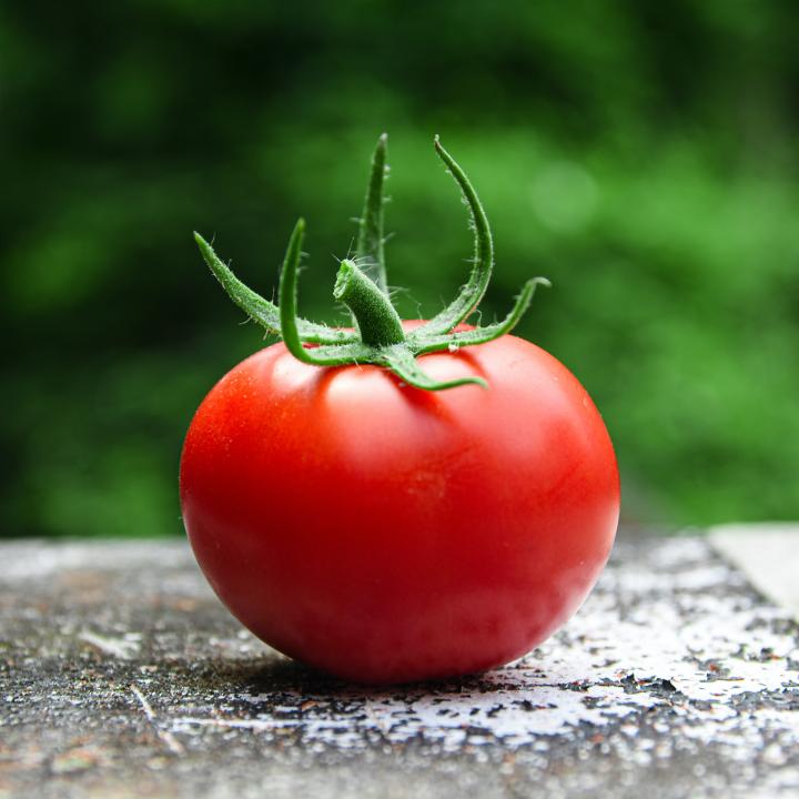 有害物質フリーのマニキュアは野菜由来！？夏野菜とアミノ酸のパワーで爪や髪もツヤツヤに