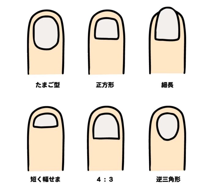 正式な名称ではないが自爪の形を種類ごとに分けた一覧。