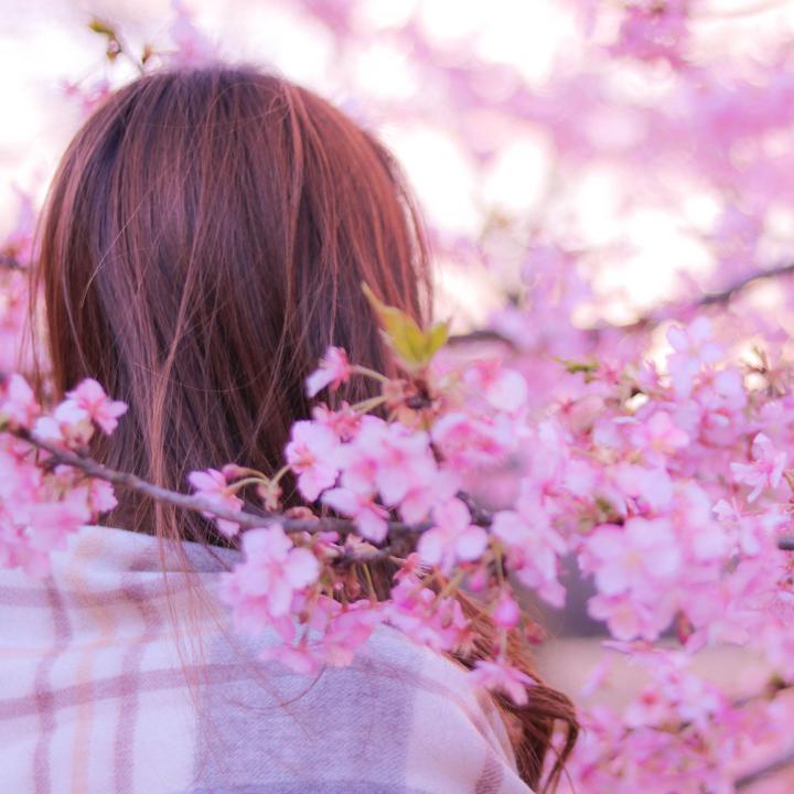 桜ネイルのオフィスでも浮かないデザインは？＆敏感肌の花粉症対策スキンケア