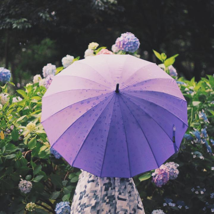 紫陽花ネイルをセルフで簡単にやる方法！可愛い「梅雨ネイル」で雨の日を乗り切りませんか？