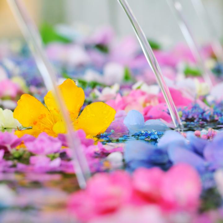 紫陽花のネイルはたらしこみが可愛い！＆梅雨に行きたい紫陽花の名所を紹介