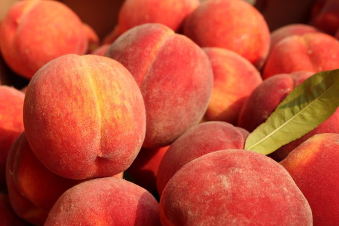 フルーツの桃の写真