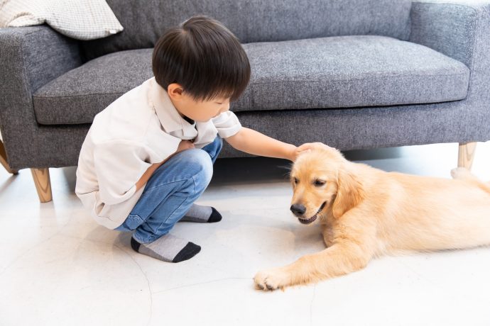 子供と犬が部屋の中で過ごしている写真