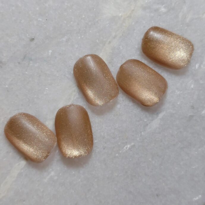 ワンカラーマグネット×マットトップのネイルチップ