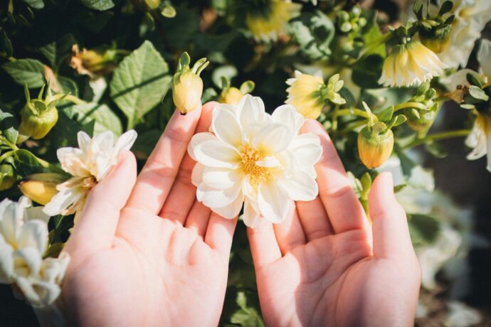 お花を持つ手