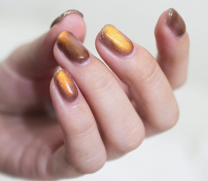 ブラウンベースのマグネットネイル